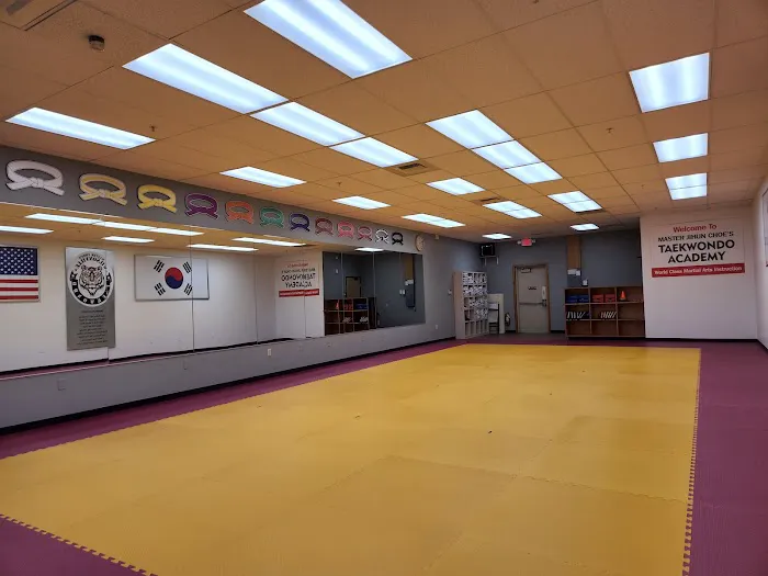 Wilsonville Taekwondo Academy Picture 1