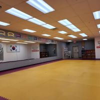 Wilsonville Taekwondo Academy ico