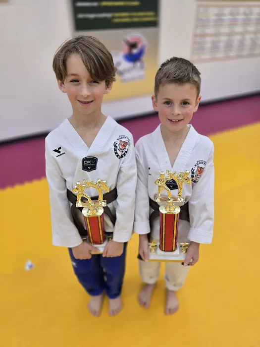 Wilsonville Taekwondo Academy Picture 3