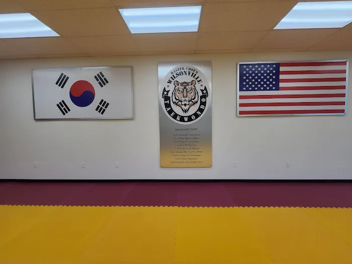 Wilsonville Taekwondo Academy Picture 6