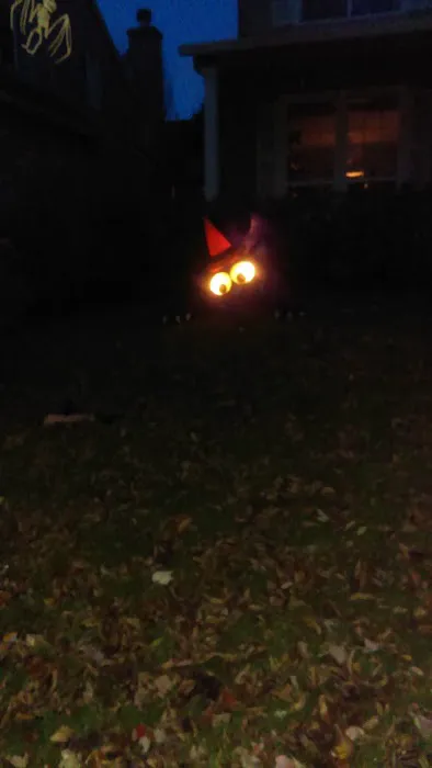 Remington Village Picture 5