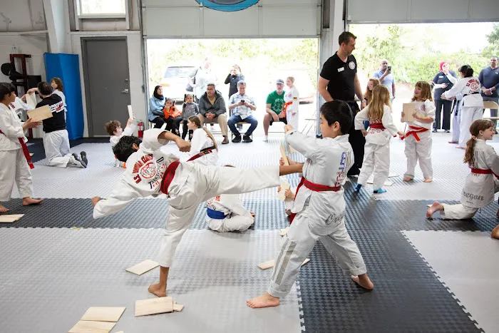 US World Class Taekwondo Hillsboro Picture 1