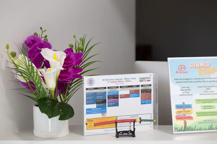 US World Class Taekwondo Hillsboro Picture 2