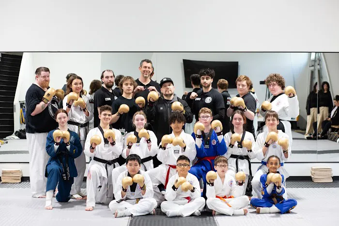 US World Class Taekwondo Hillsboro Picture 6