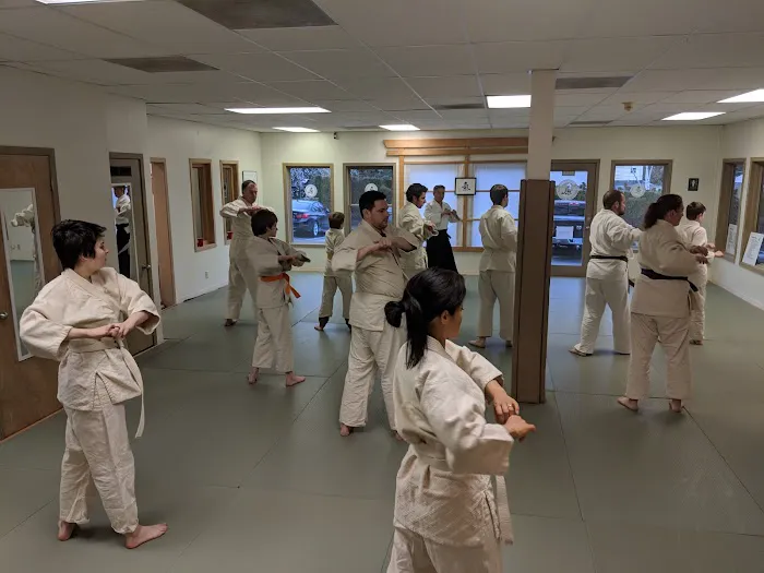 West Linn Ki Aikido Picture 2