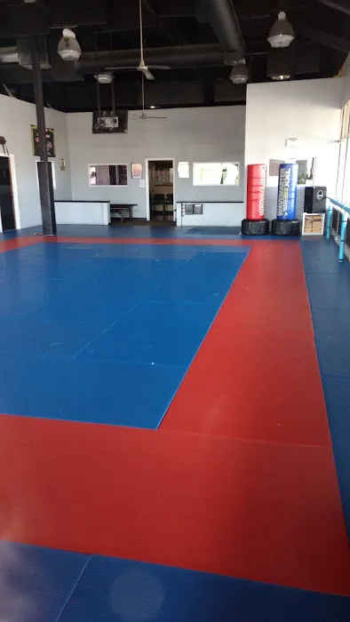 Lees Martial Arts Academy Picture 6