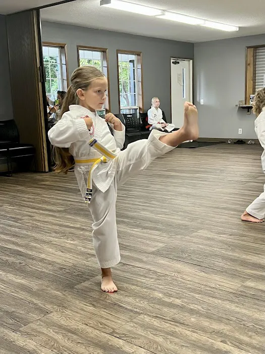 Ascent Martial Arts Picture 4