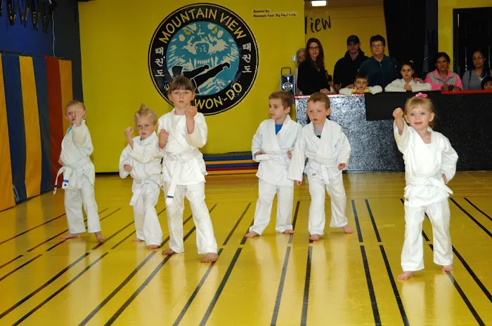 Mountain View Martial Arts and Fitness Picture 5