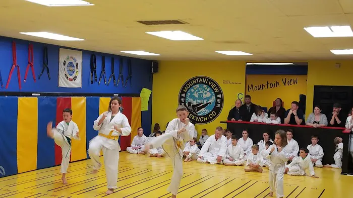 Mountain View Martial Arts and Fitness Picture 10