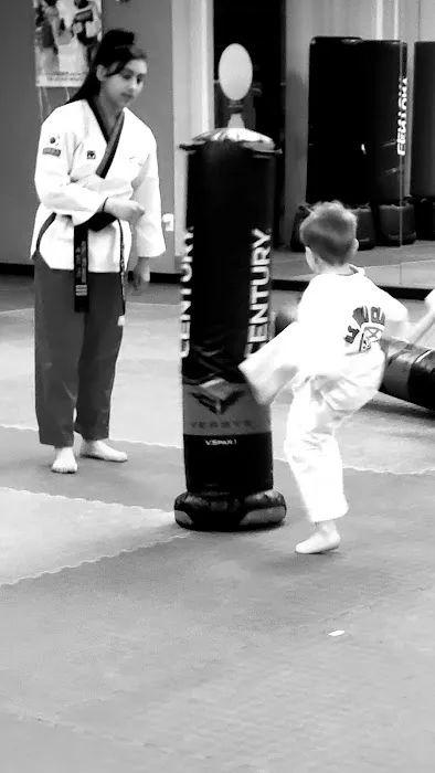 U.S. World Class Taekwondo Picture 7