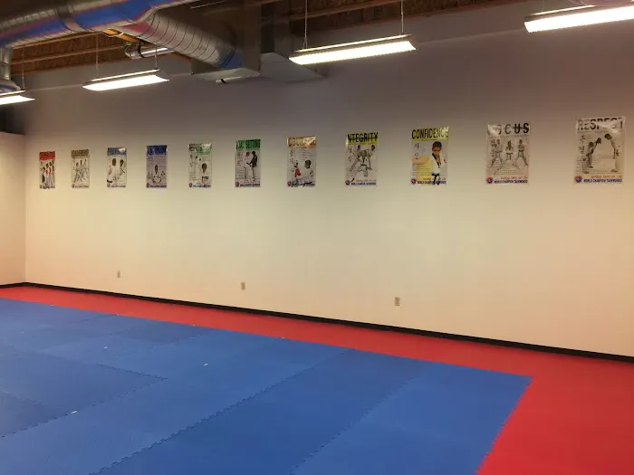 World Champion Taekwondo Washougal Picture 6