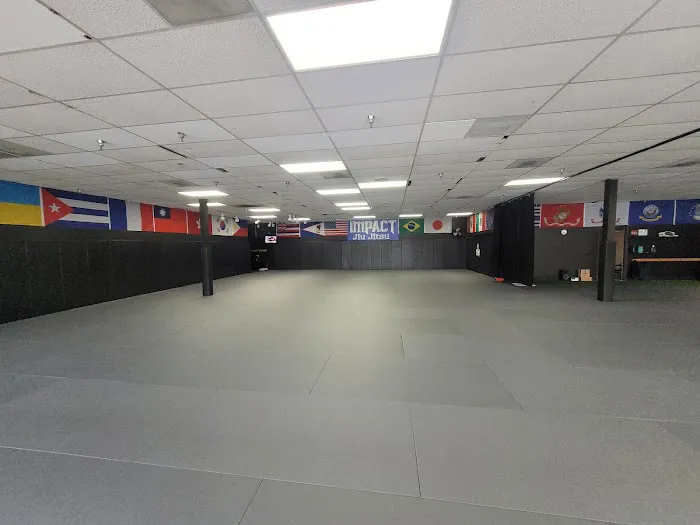 Impact Jiu Jitsu (Hillsboro) Picture 1
