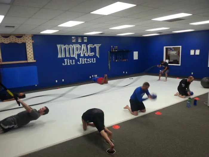Impact Jiu Jitsu (Hillsboro) Picture 8