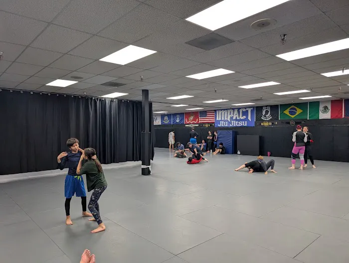Impact Jiu Jitsu (Hillsboro) Picture 7