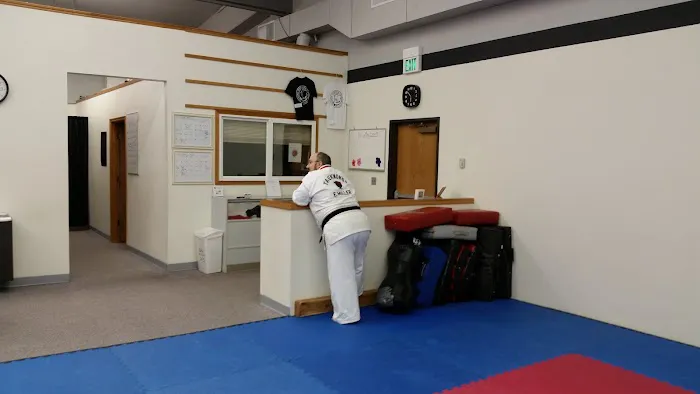 Soaring Phoenix Family Martial Arts Picture 4