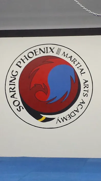 Soaring Phoenix Family Martial Arts Picture 1