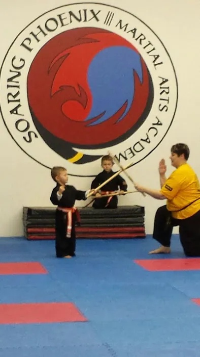Soaring Phoenix Family Martial Arts Picture 2