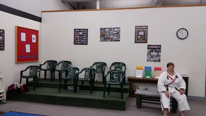 Soaring Phoenix Family Martial Arts Picture 3