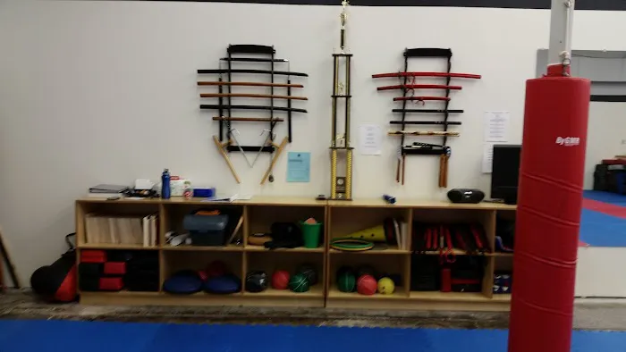 Soaring Phoenix Family Martial Arts Picture 5