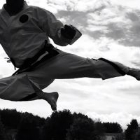 Kim’s Taekwondo Forest Grove ico