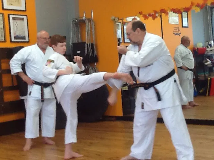 Dragon Arts Karate Picture 3