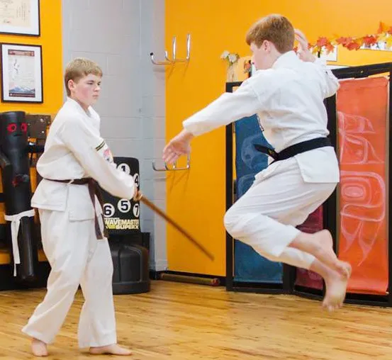 Dragon Arts Karate Picture 2