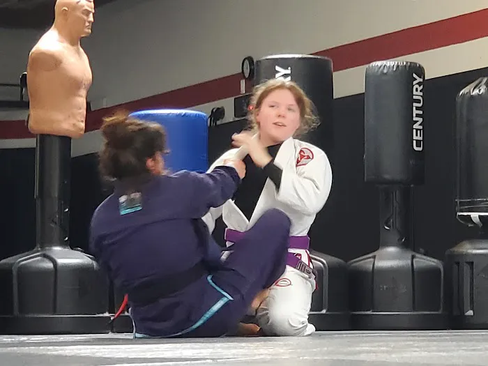 Universal Jiu Jitsu Picture 7