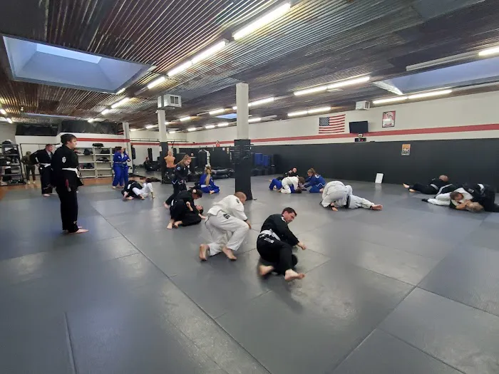 Universal Jiu Jitsu Picture 8
