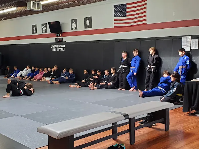 Universal Jiu Jitsu Picture 9