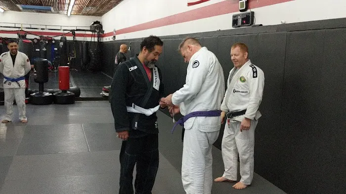 Universal Jiu Jitsu Picture 6