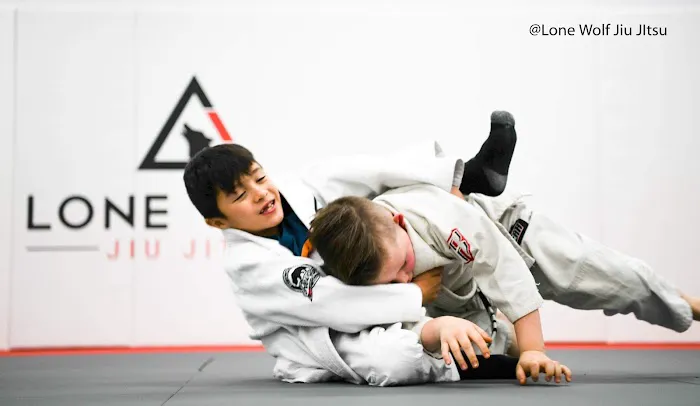 Lone Wolf Jiu Jitsu Academy Picture 8