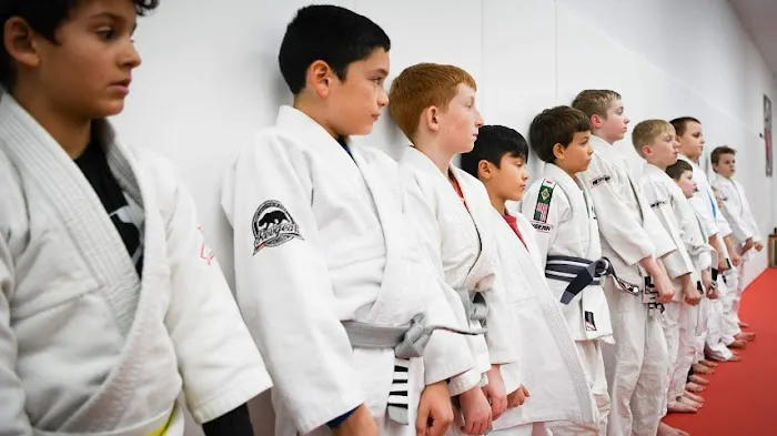 Lone Wolf Jiu Jitsu Academy Picture 7