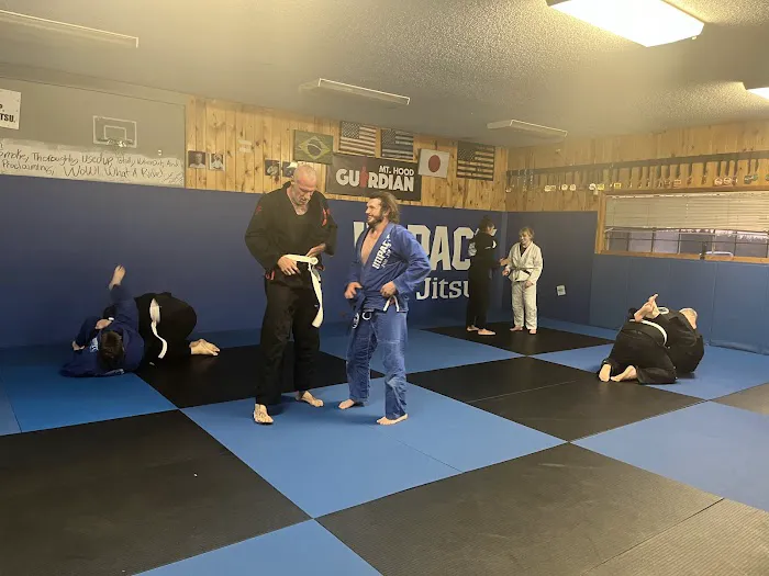 Guardian Mt. Hood Picture 3