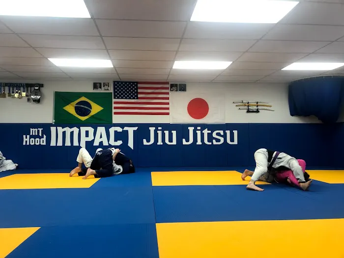 Guardian Mt. Hood Picture 7