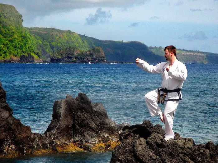 Valley View Taekwon-Do Picture 1