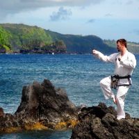 Valley View Taekwon-Do ico