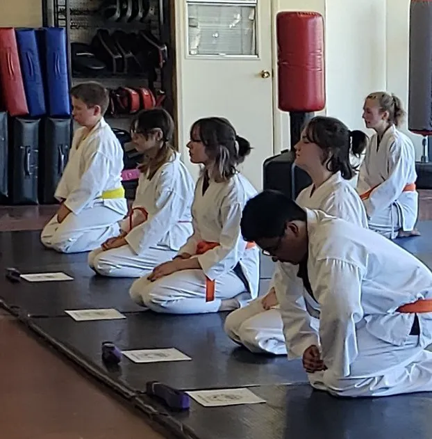 Silverton Self Defense Picture 5