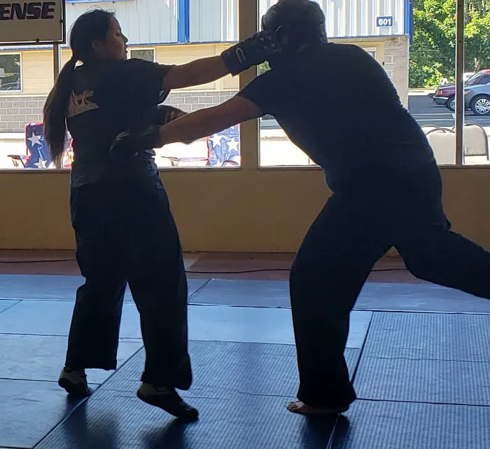 Silverton Self Defense Picture 7