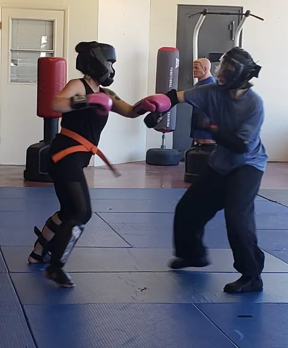 Silverton Self Defense Picture 8