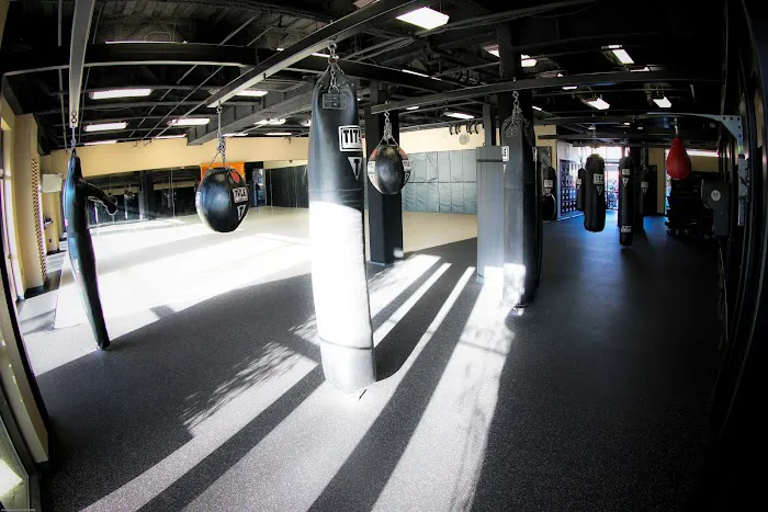 Zanshin Martial Arts Picture 2