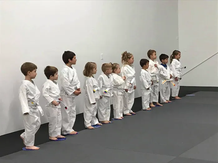 Salem-Keizer Brazilian Jiu-Jitsu Academy Picture 2