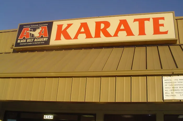 Karate for Kids - South Salem Picture 3
