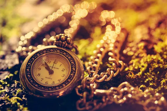 Karate for Kids - South Salem Picture 8