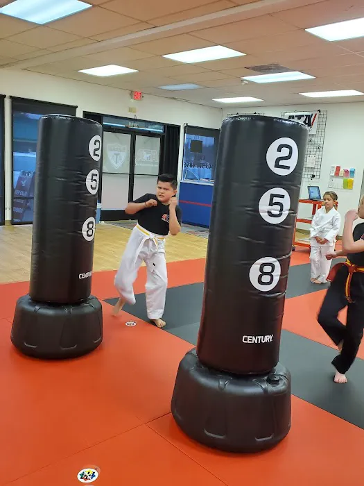 Karate for Kids - South Salem Picture 7