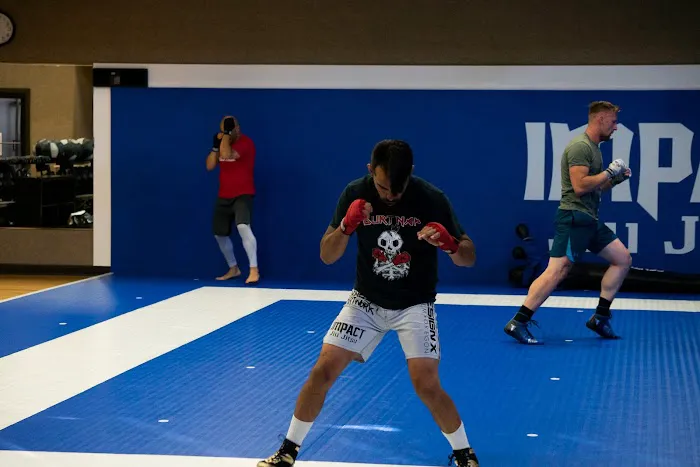Impact Jiu Jitsu Picture 1