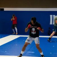 Impact Jiu Jitsu ico