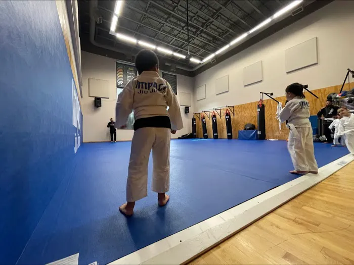 Impact Jiu Jitsu Picture 4