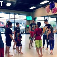 Impact Jiu Jitsu ico