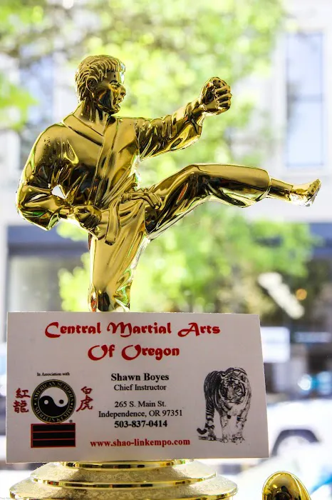 Central Martial Arts Picture 4