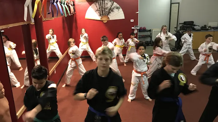 Central Martial Arts Picture 9